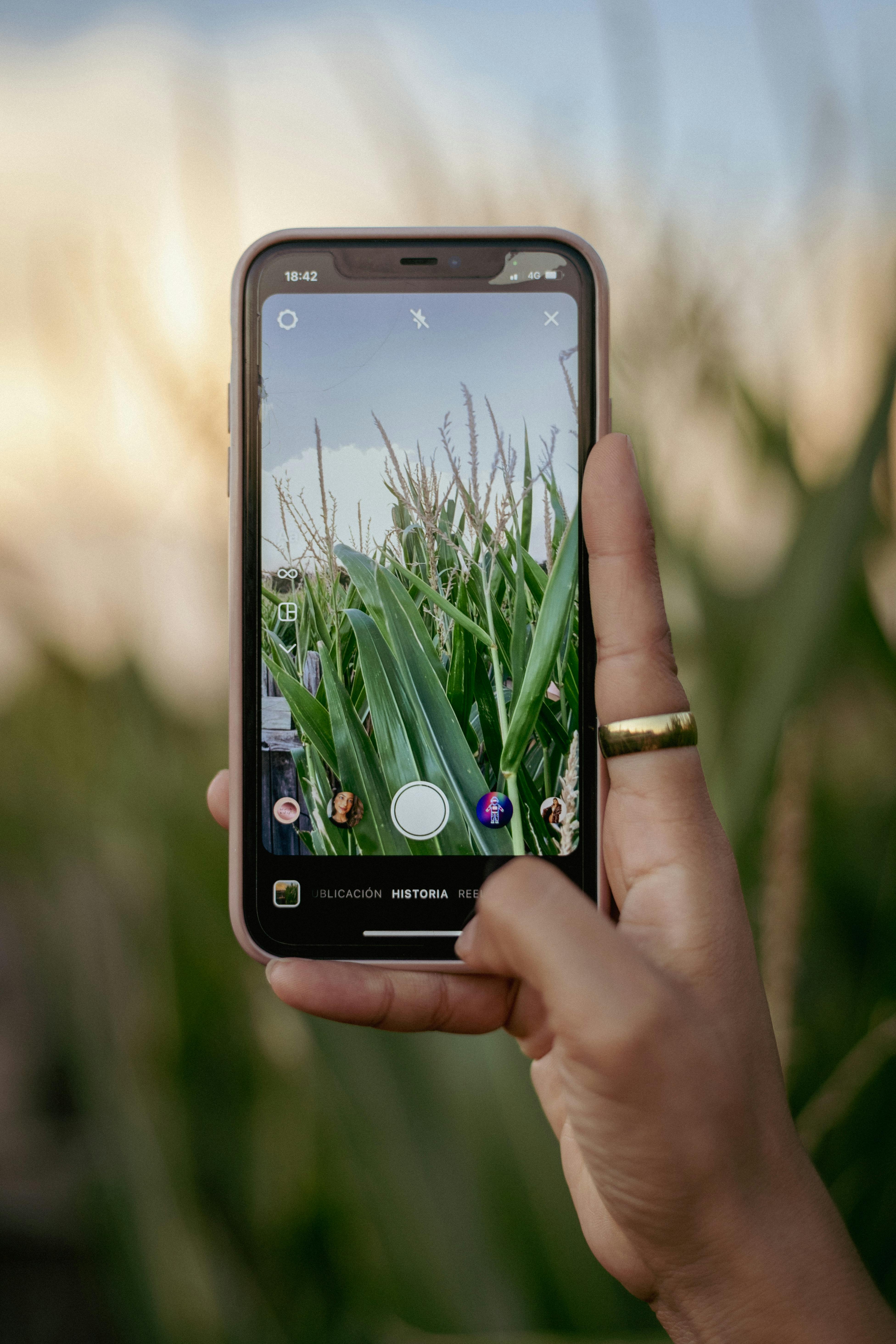 AgroConnect